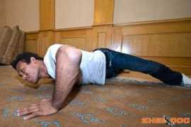 Jacare