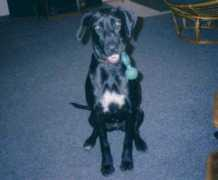 Jacki