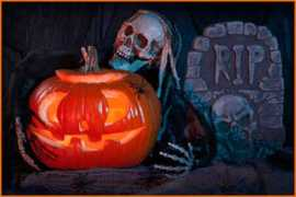 halloweenblog.com Jackos