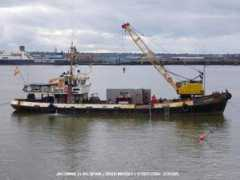 spanishshipping.com Jacomina