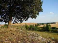 panoramio.com Jadraque