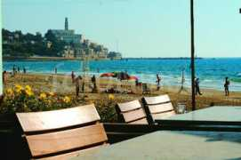 Jaffa