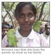 freeparrots.net Jagadheesan