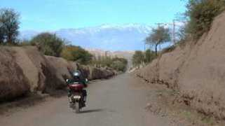 Jague