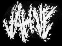 spirit-of-metal.com Jahve