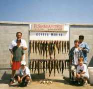 walleye.com Jaimar