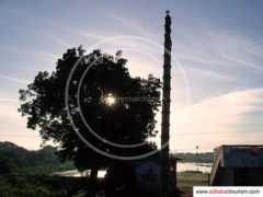 nirmalcity.com Jainath