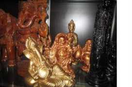 78479.in.all.biz Jaivardhan