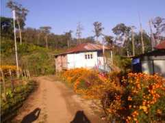 Jajabar