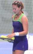 nettenis.org Jaksic