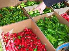 cookhereandnow.com Jalapenos