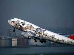 flightinfo.jp Jalde