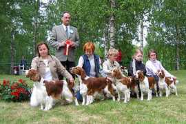 springerspanielit.com Jalk