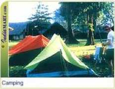 indiantravelportal.com Jaloni