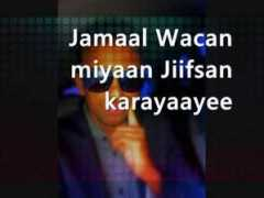 wn.com Jamiilo