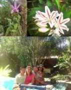 ecoviagem.uol.com.br Jamizan
