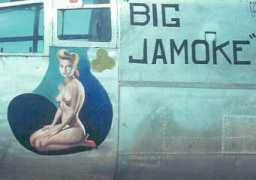 Jamoke