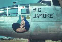 Jamoke