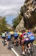 dailypeloton.com Jamons
