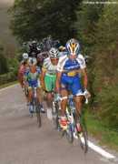 dailypeloton.com Jamons