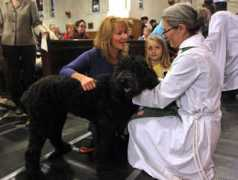 ottawacitizen.com Janaea