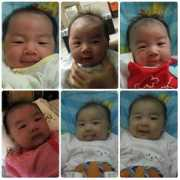 sammy.zh-tw.org Janeet