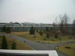 lscheffer.com Janelia