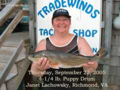 fishtradewinds.com Janetl