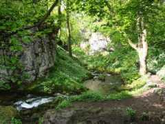 geograph.org.uk Janets