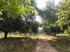 dattapeetham.com Jangareddy