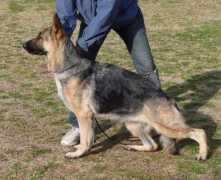 janmargsd.com Janmar