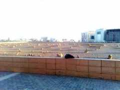 aulia-e-hind.com Jannatul