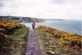 remydegourmont.org Janniere