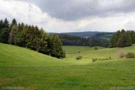 braunstein.cz Janovic