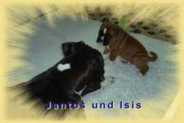 gaster-schloss.de Jantos