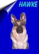 wynsumgsd.com Janyne