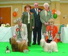 ourdogs.co.uk Jardene