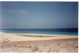 Jardia