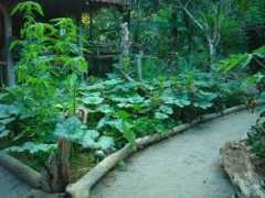 puntamona.org Jardin