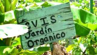 colegiocostaverde.com Jardino