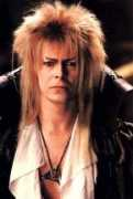 tastyboys.freeforums.org Jareth