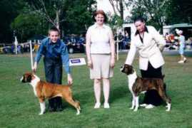 qldboxerclub.org Jarika