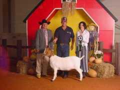 littlemountainfarm.com Jarline