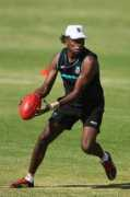 Jarrah