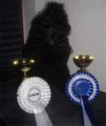 ebonyhills.fi Jashira