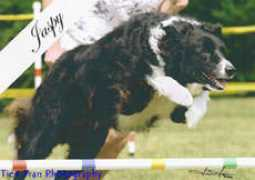 Jaspy