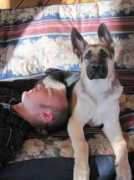 germanshepherds.com Jasr