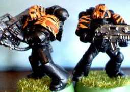 fightingtigersofveda.com Jatis