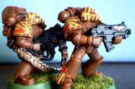 fightingtigersofveda.com Jatis