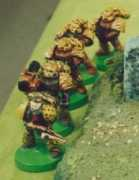 fightingtigersofveda.com Jatis